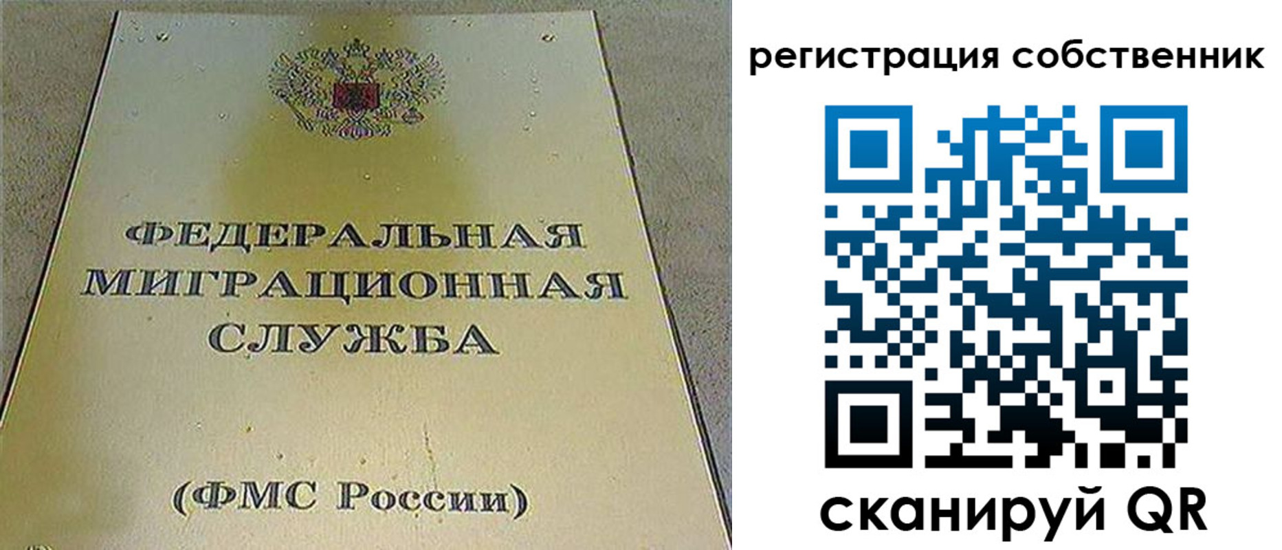 прописка поиск в Нижнекамске